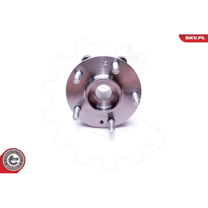 Rato guolio komplektas ESEN SKV 29SKV541