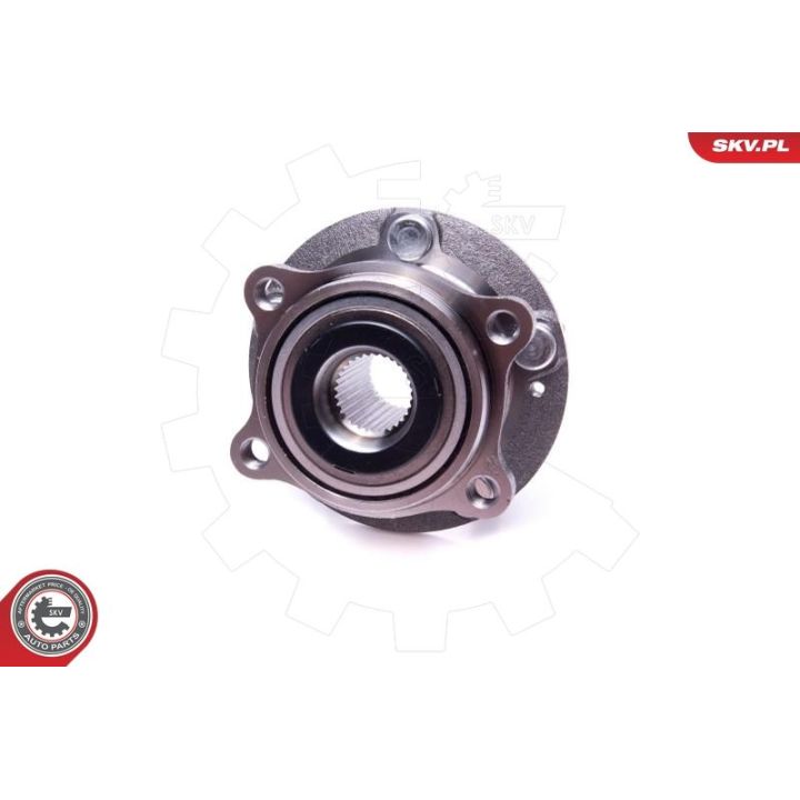 Rato guolio komplektas ESEN SKV 29SKV541