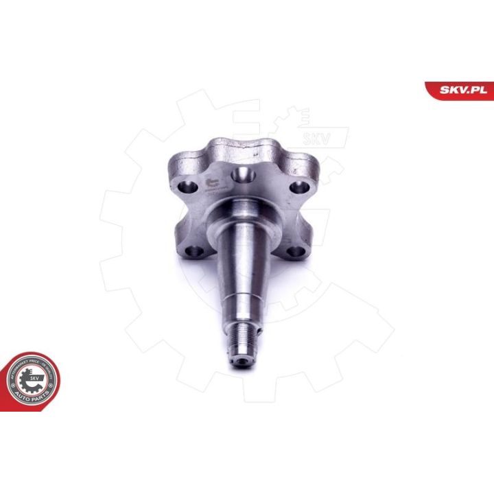 Rato guolio komplektas ESEN SKV 29SKV995