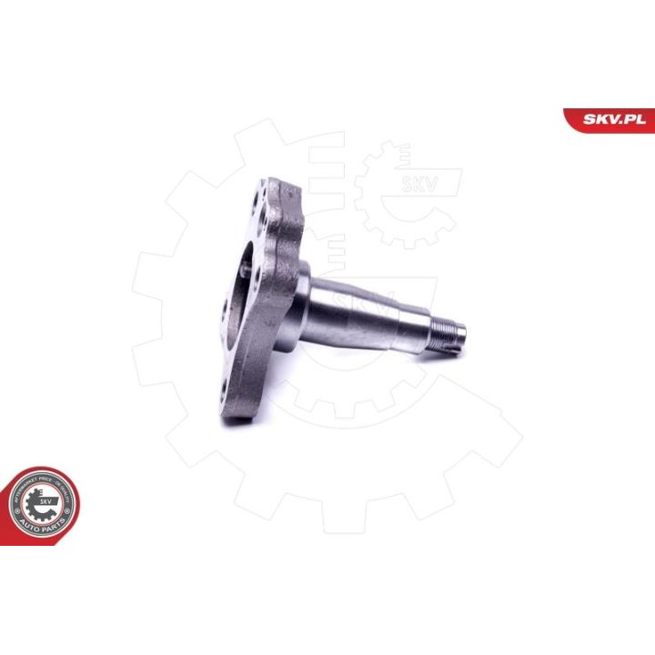 Rato guolio komplektas ESEN SKV 29SKV995