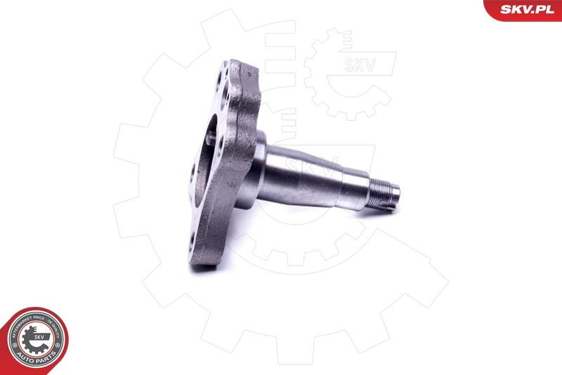 Rato guolio komplektas ESEN SKV 29SKV995