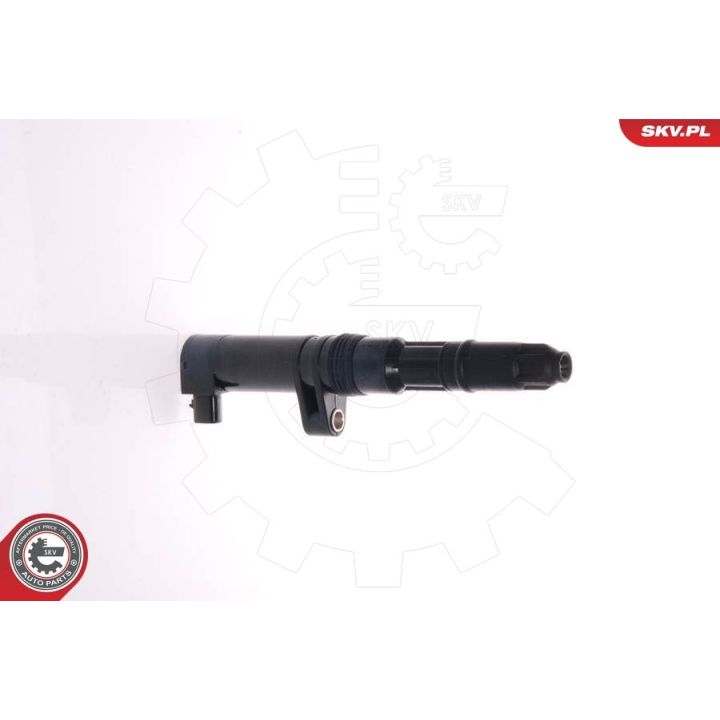 Ritė, uždegimas ESEN SKV 03SKV001