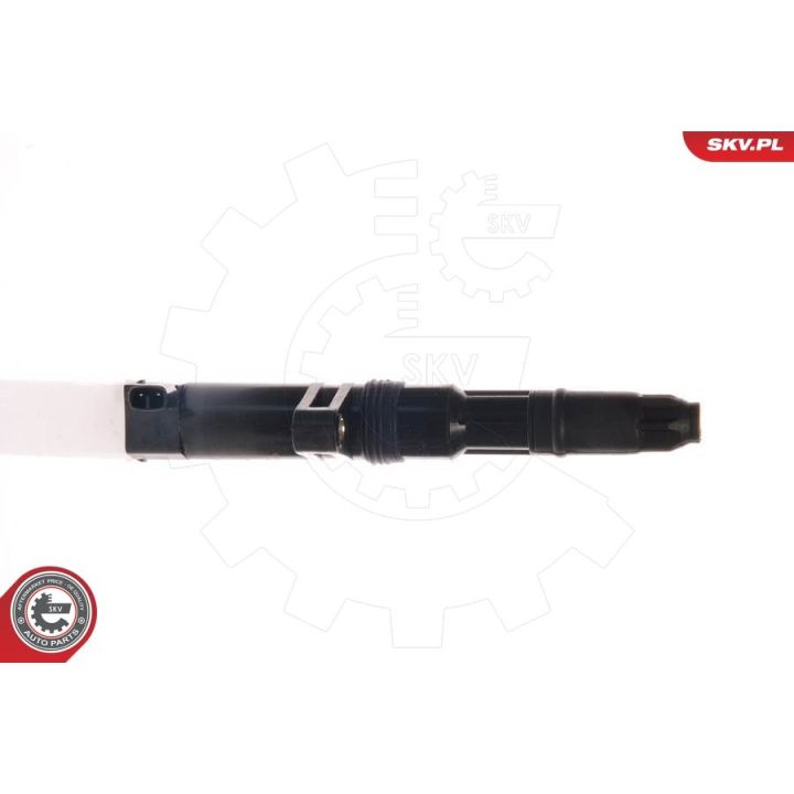 Ritė, uždegimas ESEN SKV 03SKV001