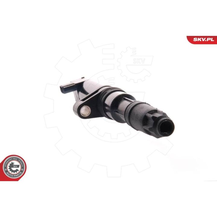 Ritė, uždegimas ESEN SKV 03SKV001