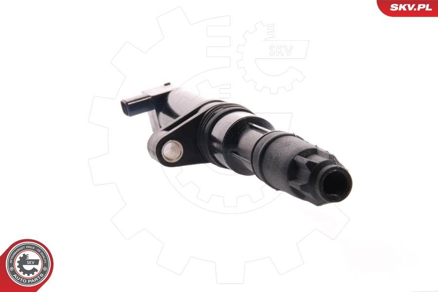 Ritė, uždegimas ESEN SKV 03SKV001