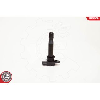 Ritė, uždegimas ESEN SKV 03SKV002