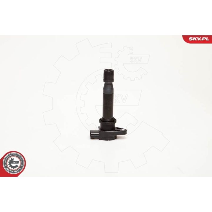 Ritė, uždegimas ESEN SKV 03SKV002