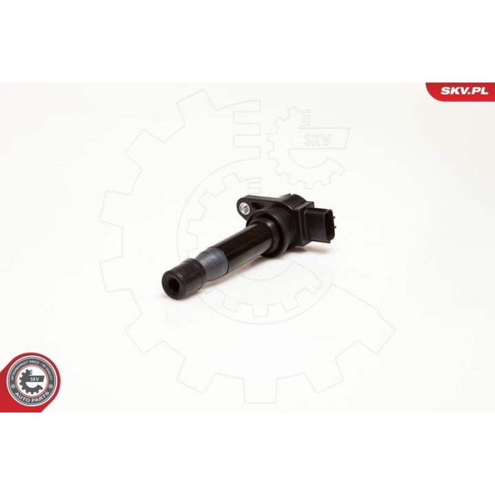 Ritė, uždegimas ESEN SKV 03SKV002