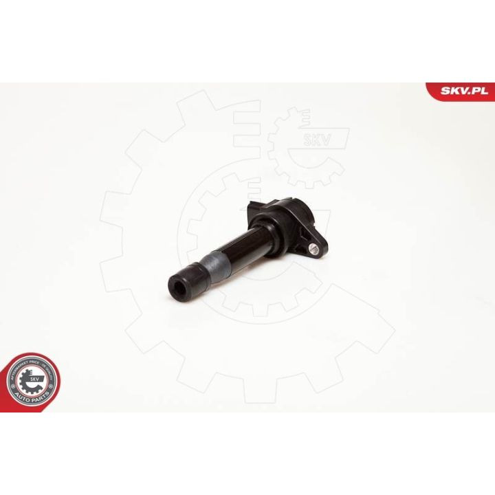 Ritė, uždegimas ESEN SKV 03SKV002