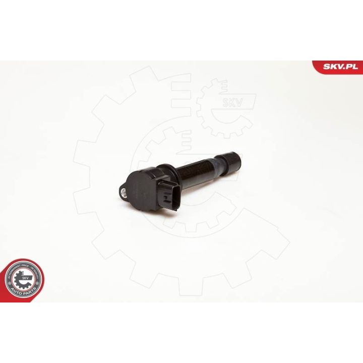 Ritė, uždegimas ESEN SKV 03SKV002