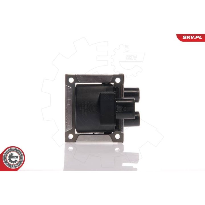 Ritė, uždegimas ESEN SKV 03SKV003