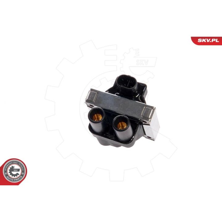 Ritė, uždegimas ESEN SKV 03SKV003