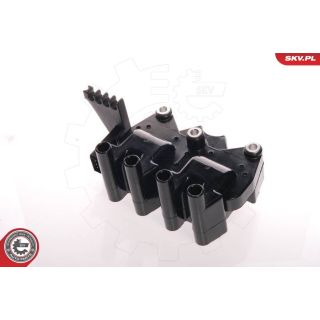 Ritė, uždegimas ESEN SKV 03SKV004