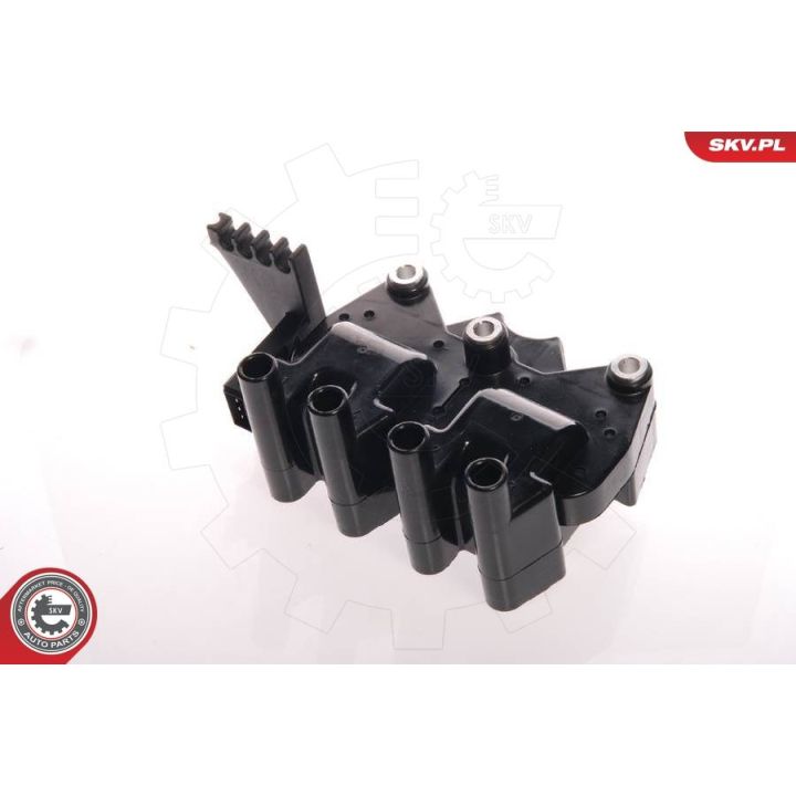 Ritė, uždegimas ESEN SKV 03SKV004