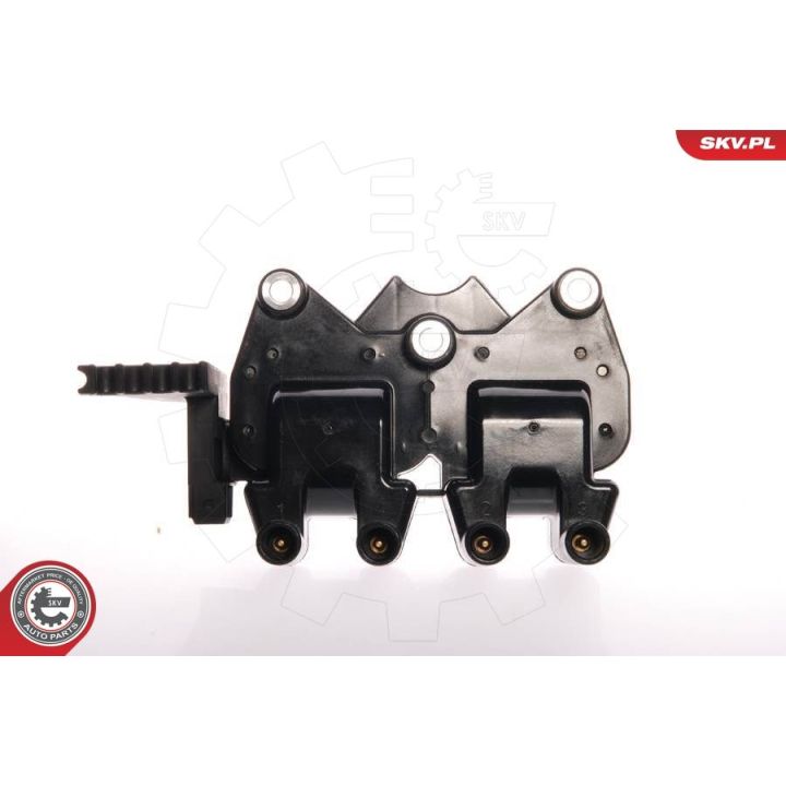 Ritė, uždegimas ESEN SKV 03SKV004