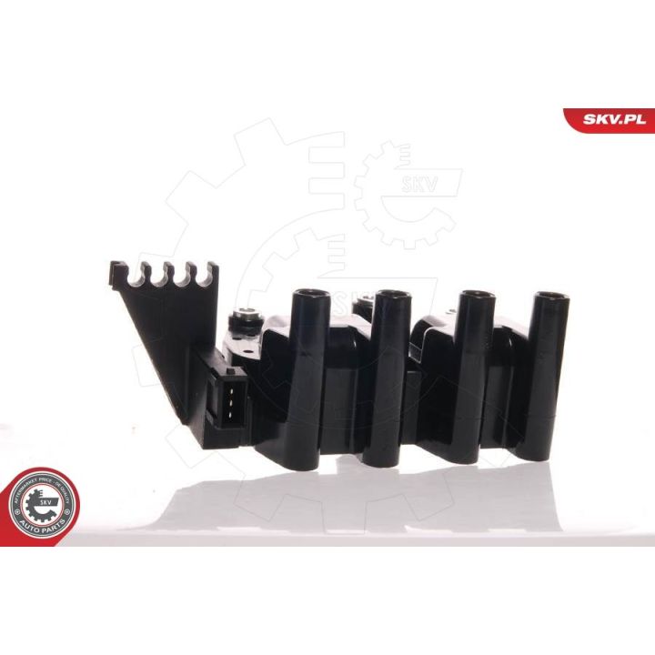 Ritė, uždegimas ESEN SKV 03SKV004