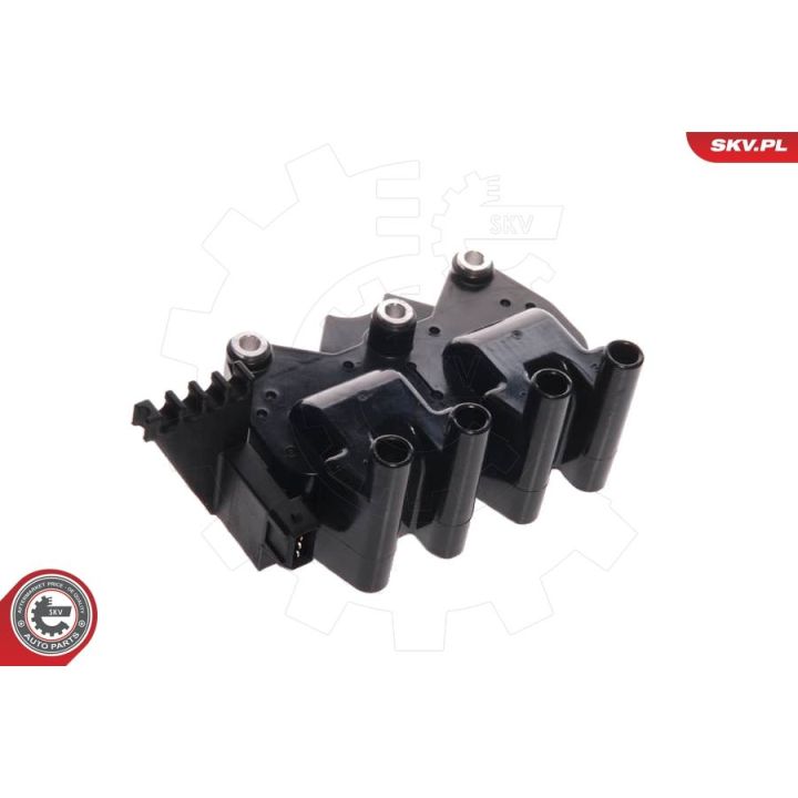 Ritė, uždegimas ESEN SKV 03SKV004