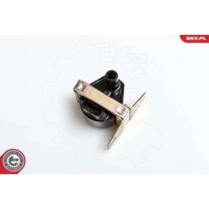 Ritė, uždegimas ESEN SKV 03SKV005