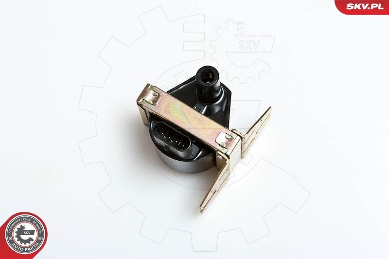 Ritė, uždegimas ESEN SKV 03SKV005