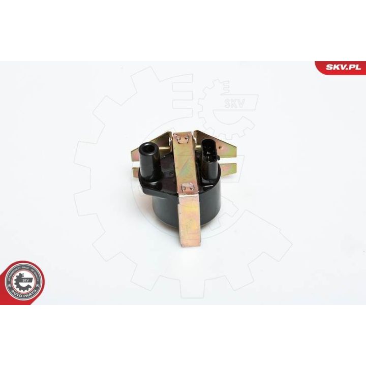 Ritė, uždegimas ESEN SKV 03SKV005