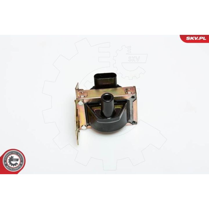 Ritė, uždegimas ESEN SKV 03SKV005