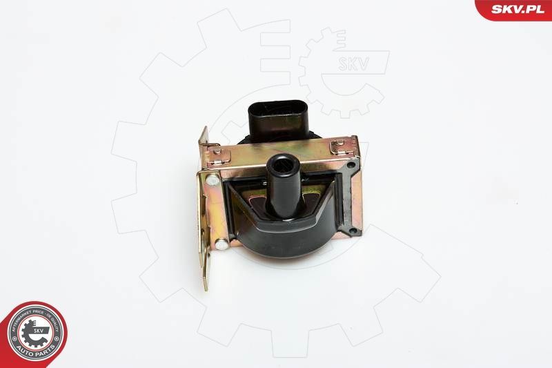 Ritė, uždegimas ESEN SKV 03SKV005