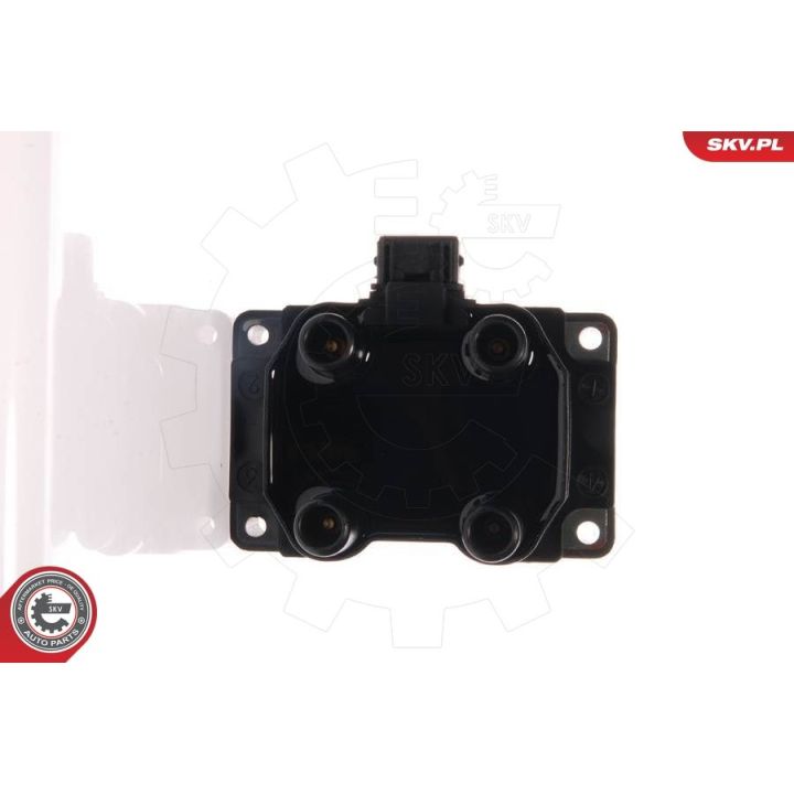 Ritė, uždegimas ESEN SKV 03SKV010