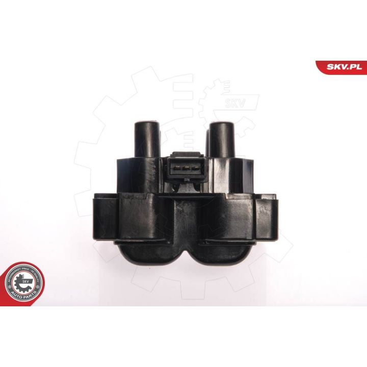 Ritė, uždegimas ESEN SKV 03SKV010