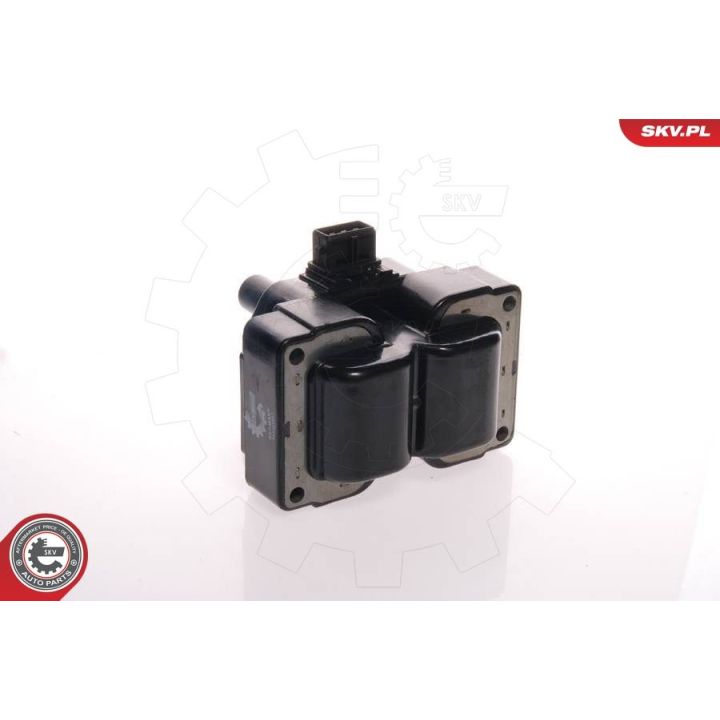 Ritė, uždegimas ESEN SKV 03SKV010