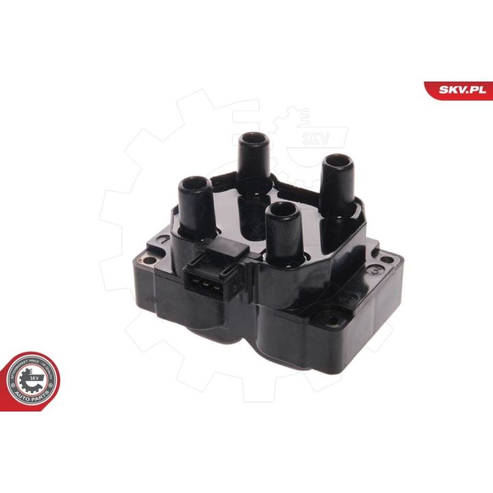 Ritė, uždegimas ESEN SKV 03SKV010