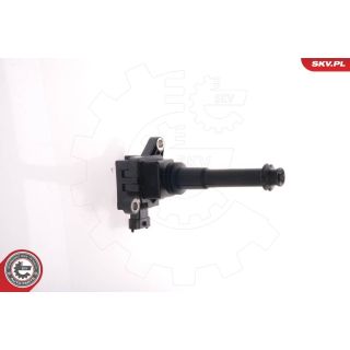 Ritė, uždegimas ESEN SKV 03SKV011