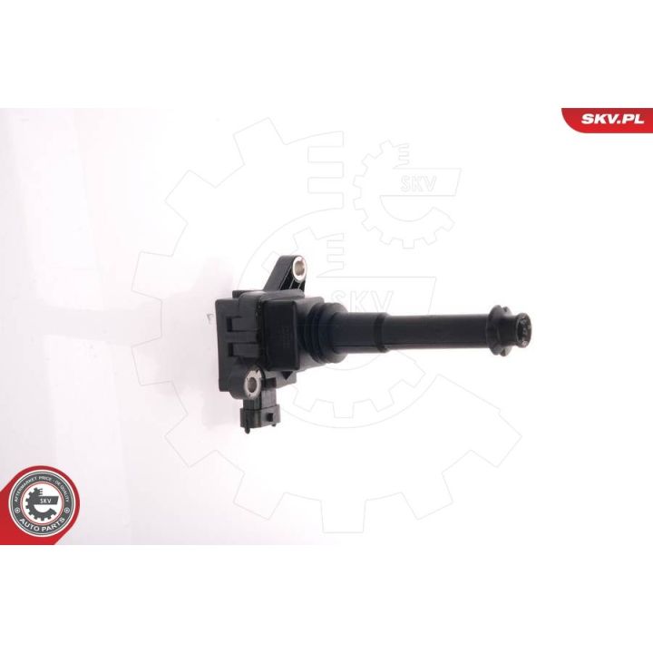 Ritė, uždegimas ESEN SKV 03SKV011