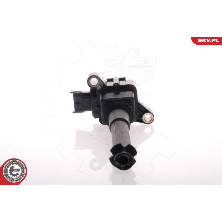 Ritė, uždegimas ESEN SKV 03SKV011