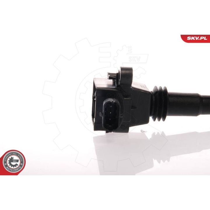 Ritė, uždegimas ESEN SKV 03SKV011