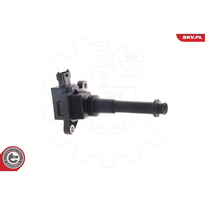 Ritė, uždegimas ESEN SKV 03SKV011