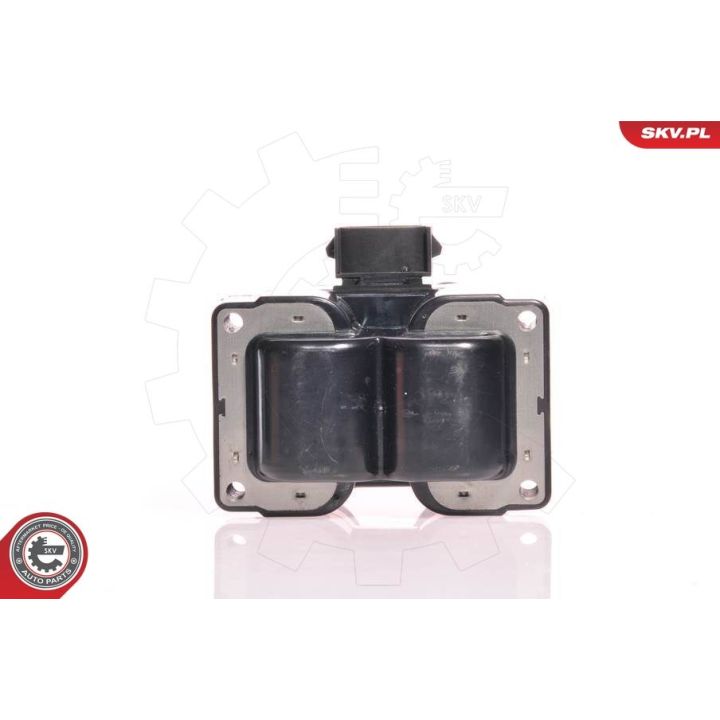 Ritė, uždegimas ESEN SKV 03SKV012