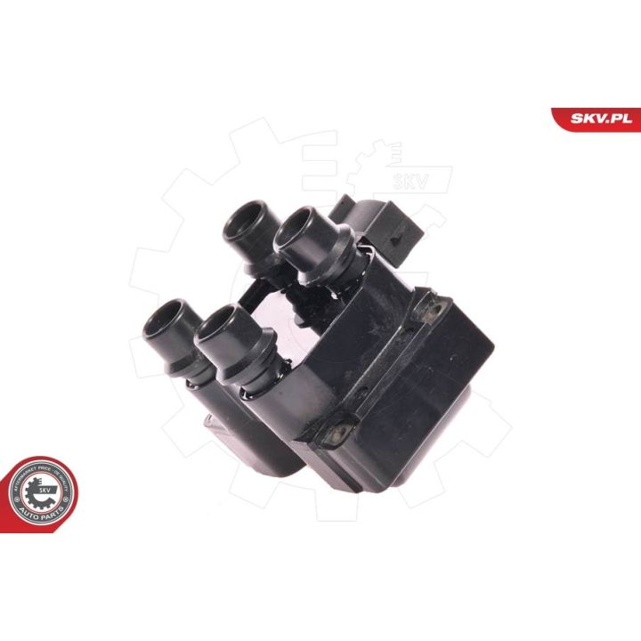 Ritė, uždegimas ESEN SKV 03SKV012