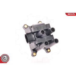 Ritė, uždegimas ESEN SKV 03SKV015