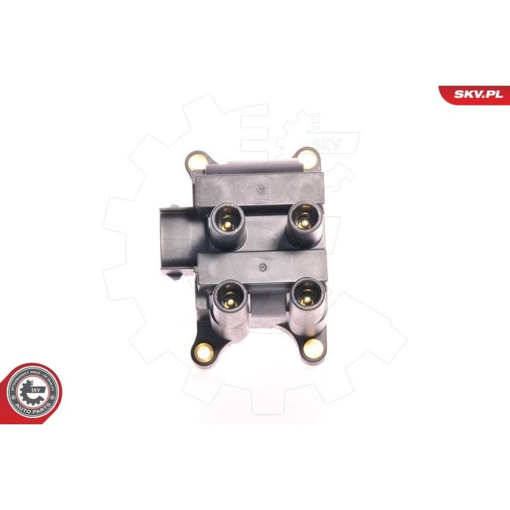 Ritė, uždegimas ESEN SKV 03SKV015