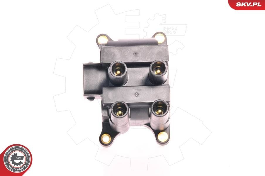 Ritė, uždegimas ESEN SKV 03SKV015