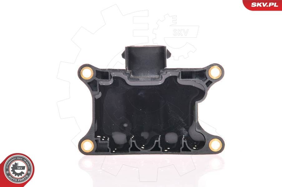 Ritė, uždegimas ESEN SKV 03SKV015