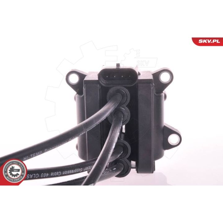 Ritė, uždegimas ESEN SKV 03SKV021