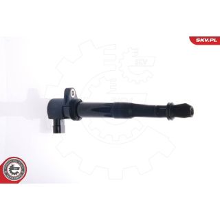 Ritė, uždegimas ESEN SKV 03SKV027