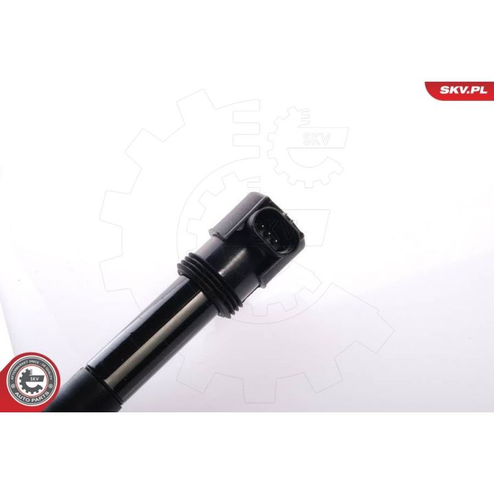 Ritė, uždegimas ESEN SKV 03SKV027