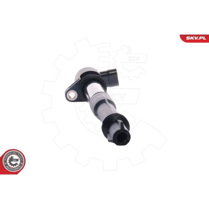 Ritė, uždegimas ESEN SKV 03SKV027