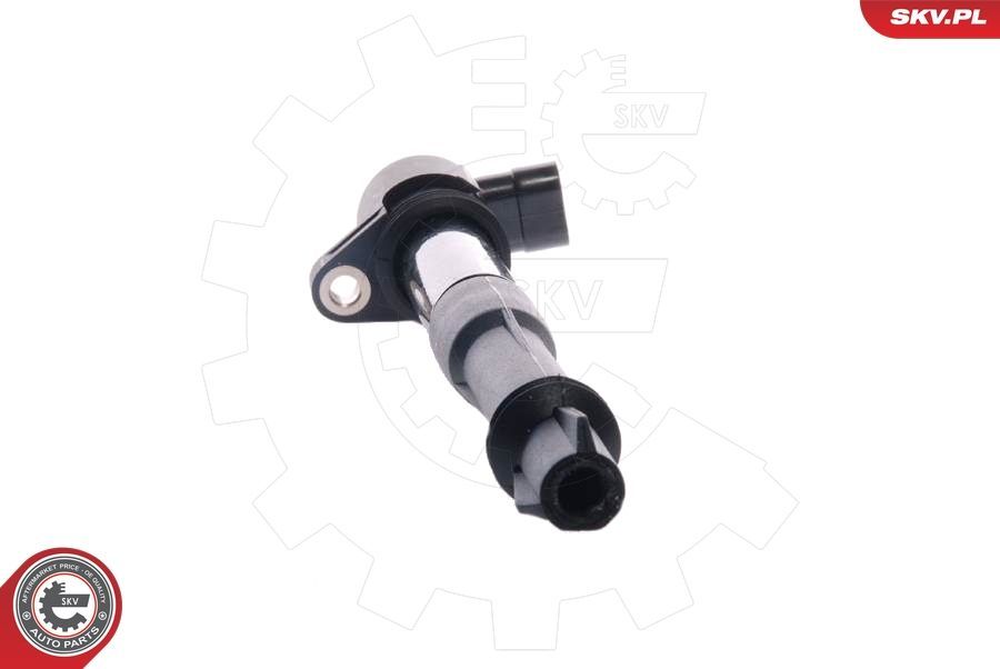 Ritė, uždegimas ESEN SKV 03SKV027