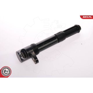 Ritė, uždegimas ESEN SKV 03SKV028