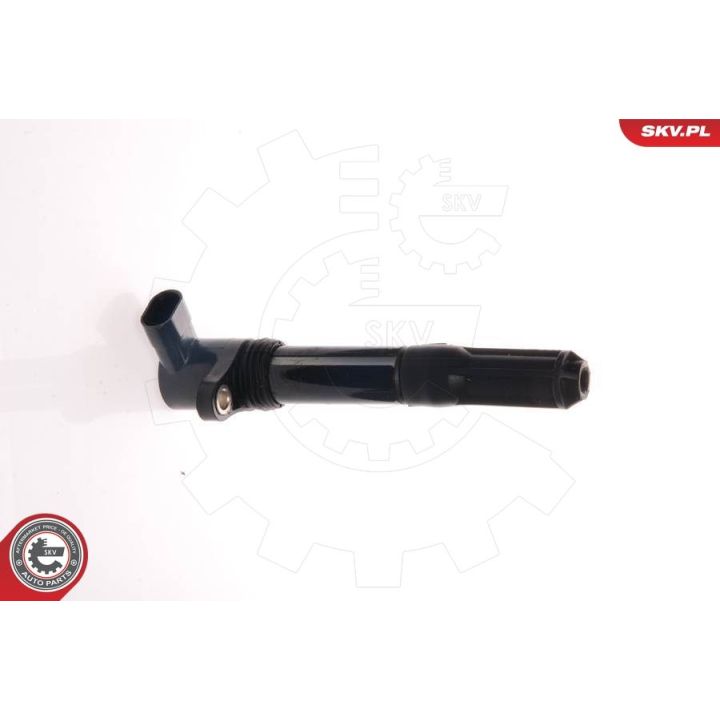 Ritė, uždegimas ESEN SKV 03SKV028