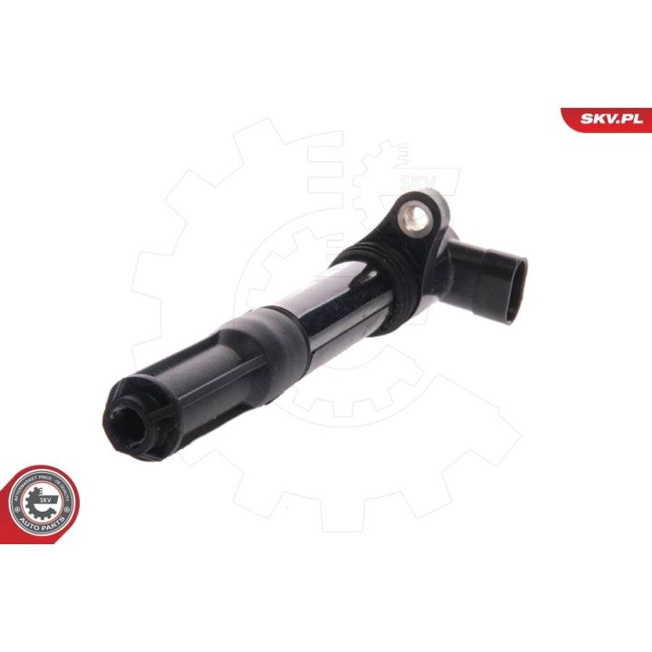 Ritė, uždegimas ESEN SKV 03SKV028