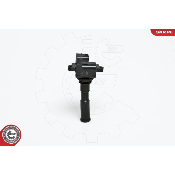 Ritė, uždegimas ESEN SKV 03SKV030